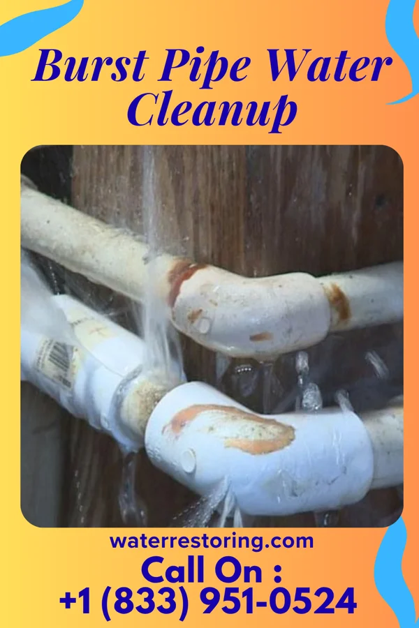 Burst Pipe Water Cleanup in Catawba, OH