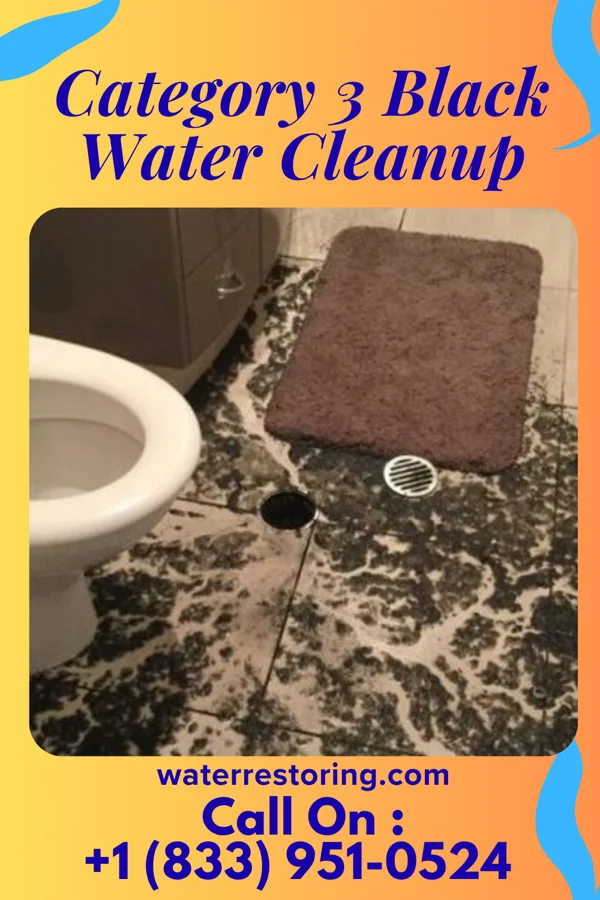 Category 3 Black Water Cleanup in Catawba, OH