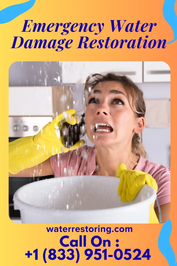 Emergency Water Damage Restoration in Catawba, OH