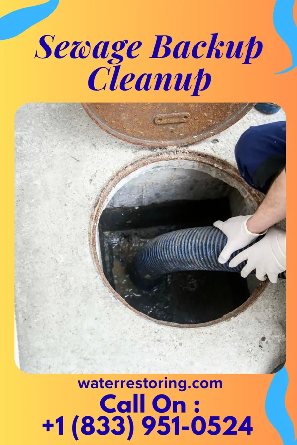 Sewage Backup Cleanup in Catawba, OH