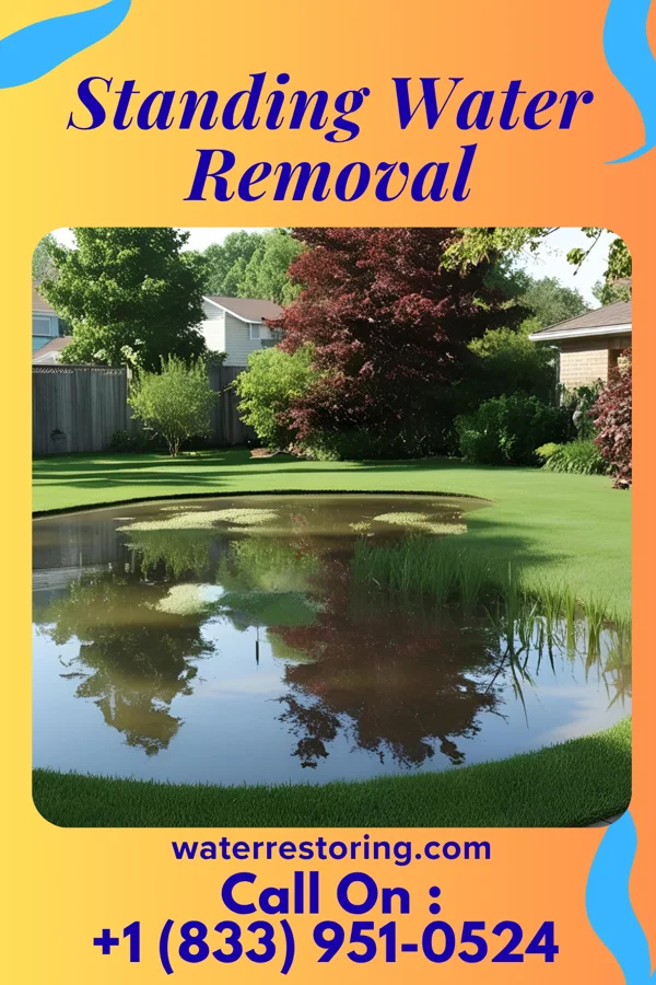 Standing Water Removal in Catawba, OH